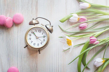 vintage clock alarm clock set for morning, pink sweet macarons. Fresh garden pink and white tulips, spring flowers on white wooden background