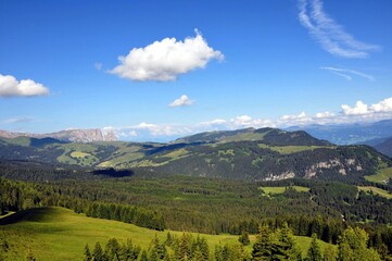 Fototapeta na wymiar Dantercerpies in den Dolomiten
