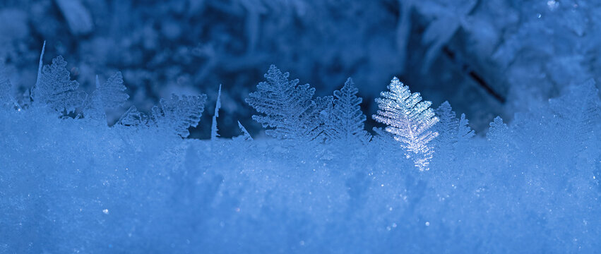 Eisblumen2