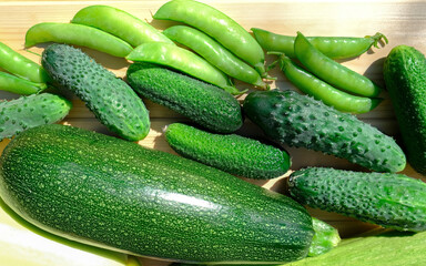 Green vegetables top view, natural products