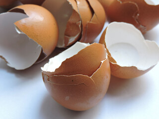 broken egg shell