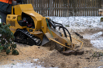 Tree stump removing process with yellow stump grinder