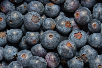 Arándanos. Foto macro de arándanos. Fondo de arándanos. Blueberries Close-up.