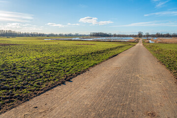 Country road through a swampy Dutch nature reserve. The grass has been trampled by large grazers. The photo was taken in the province of Gelderland on a sunny day at the end of the winter season.