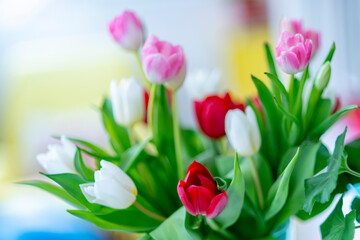 A bouquet of colorful tulips