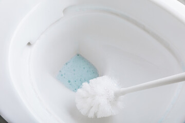 Woman cleaning toilet bowl with brush and detergent