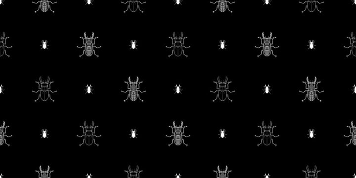Stag-beetle graphic line pattern