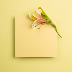 Blank memo pad with Alstroemeria flower on yellow background. floral decoration. flat lay, top view, copy space