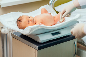 Nurse with newborn baby in postpartum ward. Doctor weighing caucasian infant boy on scales in...
