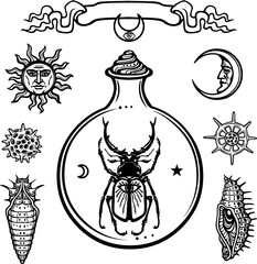 Set of alchemical symbols. Origin of life. Magic horned bug in a test tube. Religion, mysticism, occultism, sorcery.Vector illustration isolated on a white background.