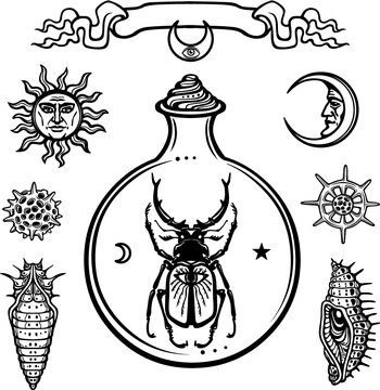 Set of alchemical symbols. Origin of life. Magic horned bug in a test tube. Religion, mysticism, occultism, sorcery.Vector illustration isolated on a white background.