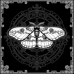 Night moth. Esoteric symbol. Black background, decorative frame, mystical circle.  Vector illustration. Print, posters, t-shirt, card. 