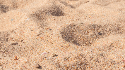Fototapeta na wymiar Yellow coarse sand on the beach by the sea