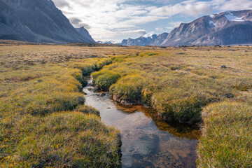 Stream winds through wild arctic landscape in Akshayuk Pass, Baffin Island, Canada. Moss valley...