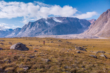 Hiker walking through remote arctic valley on a sunny summer day. Dramatic arctic landscape of Akshayuk Pass, Baffin Island, Canada.