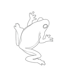 vector contour simple frog on white background
