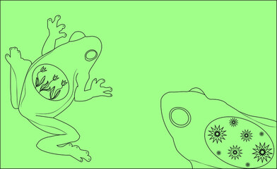 vector contour frogs illustration and simple wallpaper