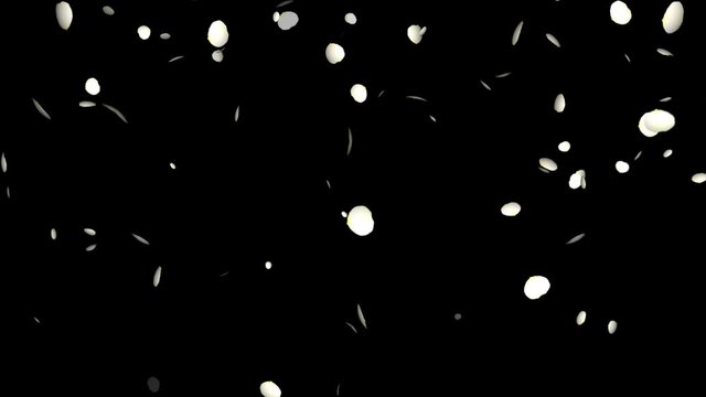 Loop animation of a landscape with white rose petals dancing around