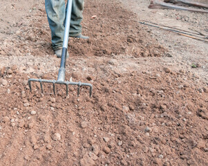 Gardener digging in the garden. Soil preparing for planting in spring. - 420058371