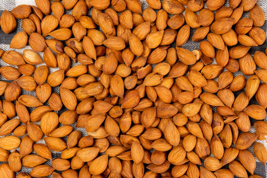 Apricot pits for the manufacture of tablets and drugs. background texture