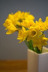 fresh daffodil or narcissus in a white vase with wooden background