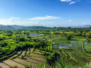 Travel to Asia. Bali island