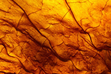 Dried tobacco Abstract textured background. close-up. texture