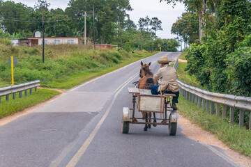 Naklejka premium Campesino circulando sobre un carro de caballos en una carretera del Valle de Viñales en Cuba