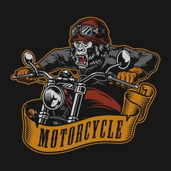 Motorcycle colorful print