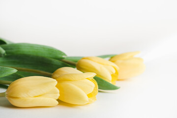 Bouquet of yellow tulips on a white background close up with copy space, selective focus