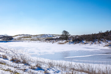 Fototapeta na wymiar Snowy and ice winter landscape at the Amsterdamse Waterleidingduinen