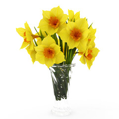 Yellow Bouquet narcissus isolated on white