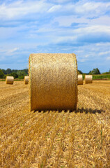 Frontal view on bales of straw on field against blue sky