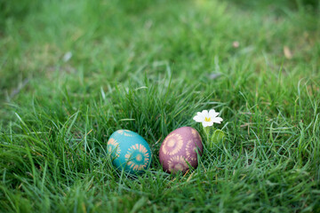Hidden in the grass Easter eggs, which are painted in different colors