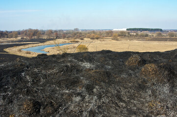 Fototapeta na wymiar Burned earth, burnt grass, ash. Dramatic background