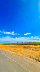 estrada com lindo céu azul e vegetação rasteira