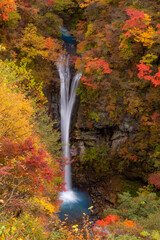 紅葉の中を流れる滝