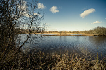 countryside forest river with blue water and rocks on the shore