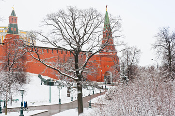 Alexander Garden (Aleksandrovsky Sad). Winter day after snowfall. Moscow. Russia - obrazy, fototapety, plakaty