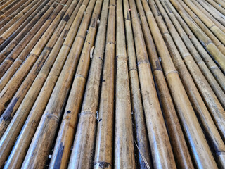 texture background from bamboo