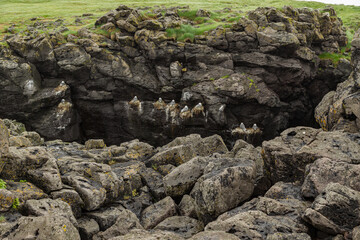 Hike from Arnarstapi to the Stone Bridge in the south of Iceland