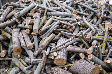 pile of old log wood in countryside