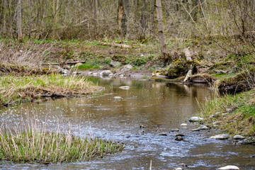 countryside forest river with blue water and rocks on the shore