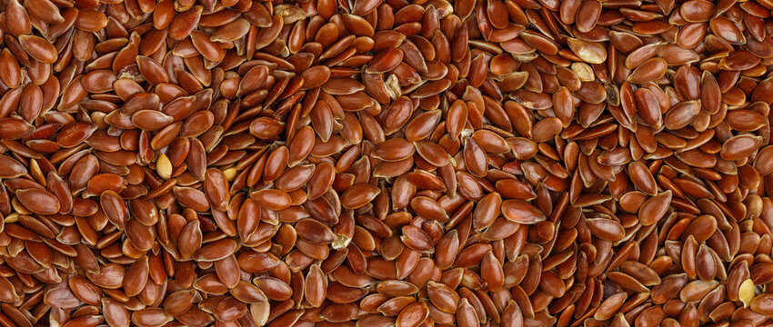 Flaxseed Culinary  background. Flax seed close-up. Linseeds. Vegan and vegetarian cuisine. Top view, selective focus, banner, long picture