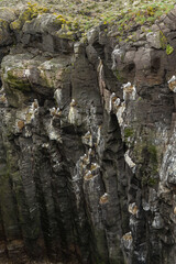 Hike from Arnarstapi to the Stone Bridge in the south of Iceland