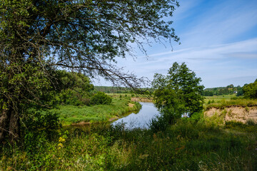scenic summer river view in forest with green foliage tree leaf and low water