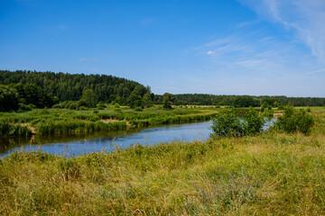 Obraz na płótnie Canvas scenic summer river view in forest with green foliage tree leaf and low water
