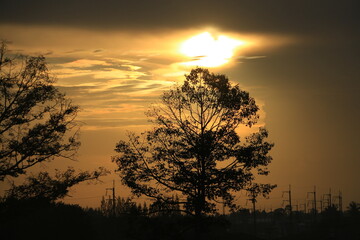 Fototapeta premium The sun rises with trees and sky