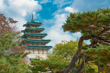 Fototapeta premium gyeongbokgung palace
