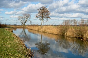 Wageningen Netherlands - 16 February 2018 - Nature reserve Hooilanden in Binnenveld near Wageningen in the Netherlands